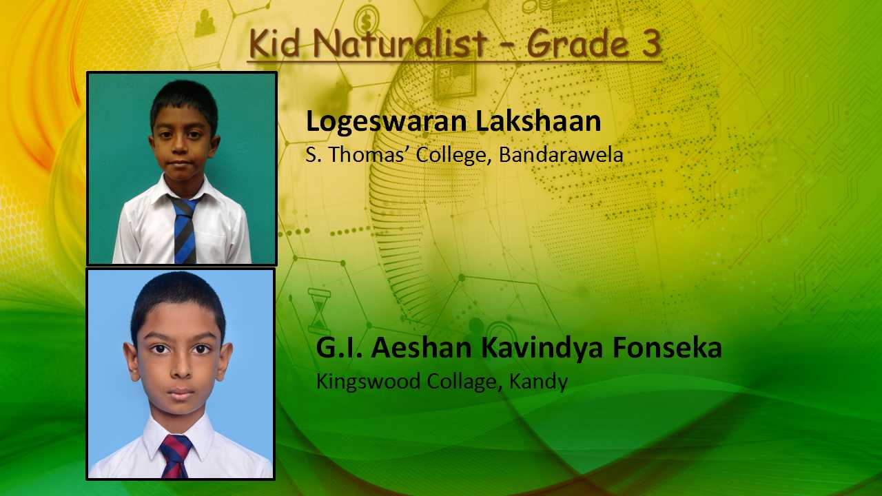 Slide6