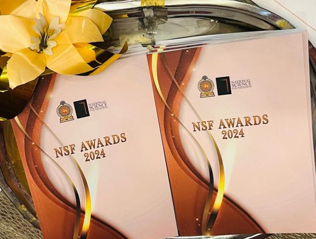 NSF Awards 2024: Recognizing Excellence, Inspiring Innovation